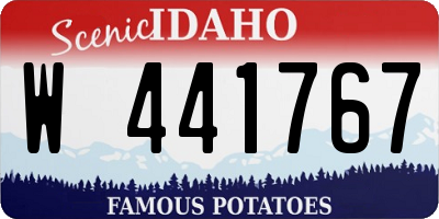ID license plate W441767