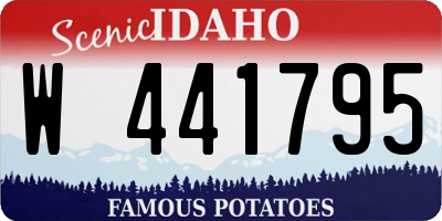 ID license plate W441795