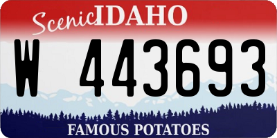 ID license plate W443693