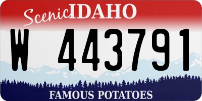 ID license plate W443791