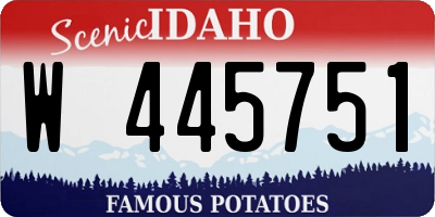 ID license plate W445751