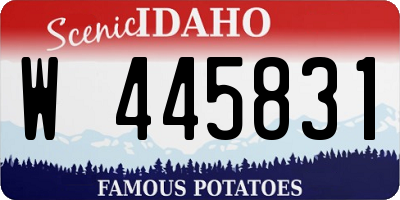 ID license plate W445831