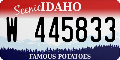 ID license plate W445833