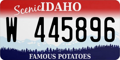 ID license plate W445896