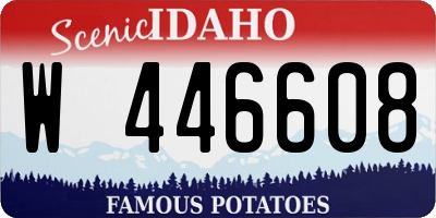 ID license plate W446608