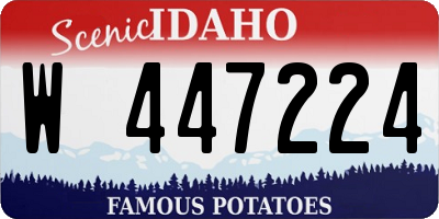 ID license plate W447224