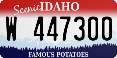 ID license plate W447300