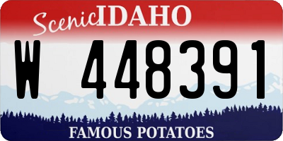 ID license plate W448391