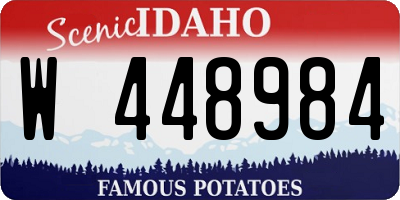 ID license plate W448984