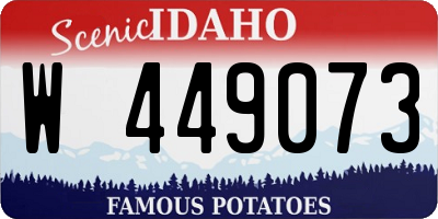 ID license plate W449073