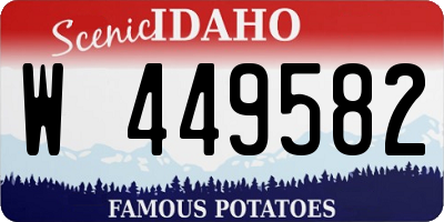 ID license plate W449582