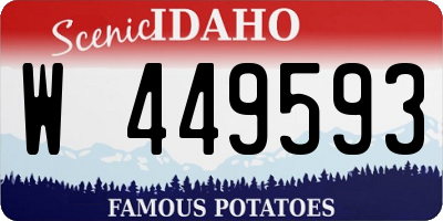 ID license plate W449593