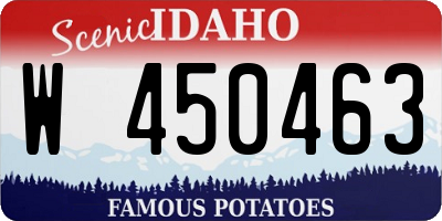 ID license plate W450463