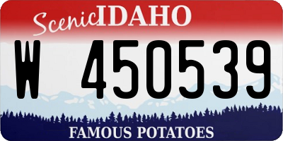 ID license plate W450539