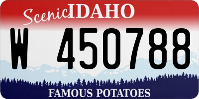 ID license plate W450788