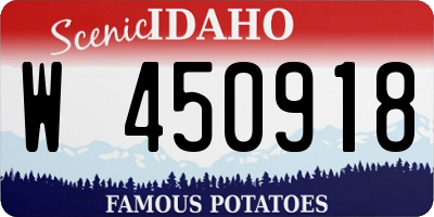 ID license plate W450918