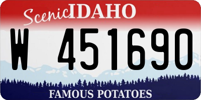 ID license plate W451690