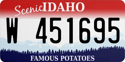 ID license plate W451695