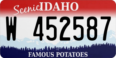 ID license plate W452587