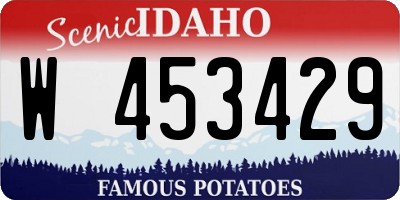 ID license plate W453429
