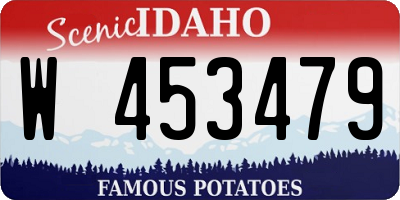 ID license plate W453479