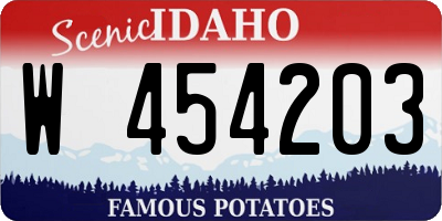 ID license plate W454203