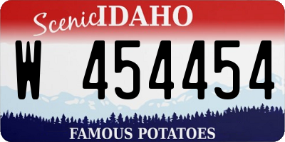 ID license plate W454454