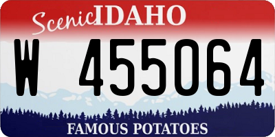 ID license plate W455064