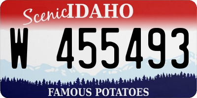 ID license plate W455493