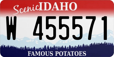 ID license plate W455571