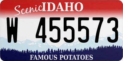 ID license plate W455573