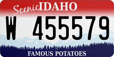 ID license plate W455579