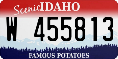 ID license plate W455813