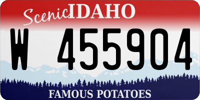 ID license plate W455904