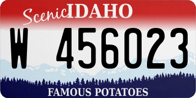 ID license plate W456023
