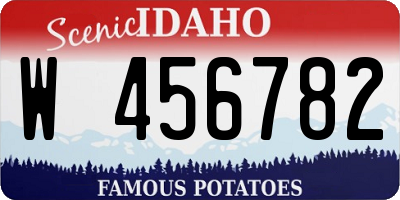 ID license plate W456782