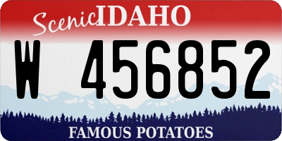 ID license plate W456852