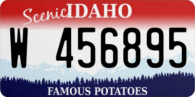ID license plate W456895