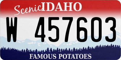 ID license plate W457603