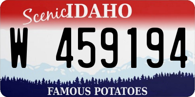 ID license plate W459194