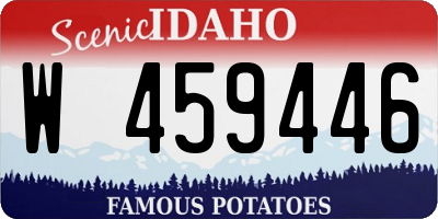 ID license plate W459446