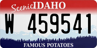 ID license plate W459541