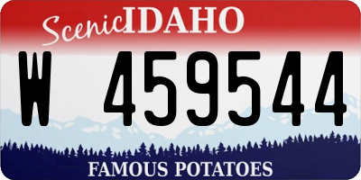 ID license plate W459544