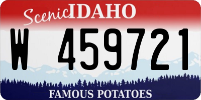 ID license plate W459721