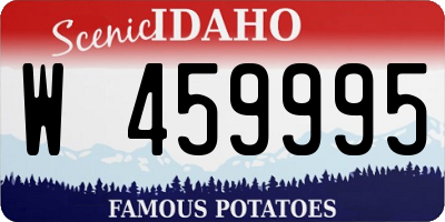 ID license plate W459995