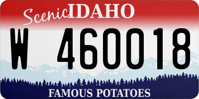 ID license plate W460018