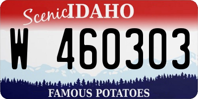 ID license plate W460303