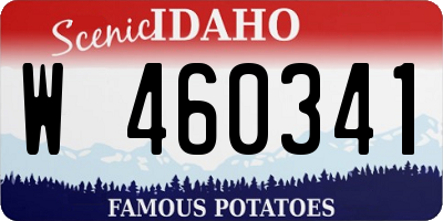ID license plate W460341