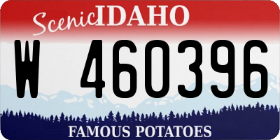 ID license plate W460396