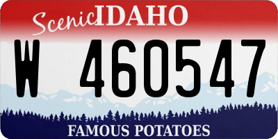 ID license plate W460547